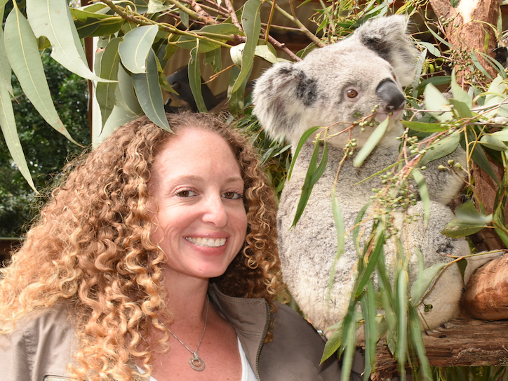 724 543 F Koala ENCOUNTER